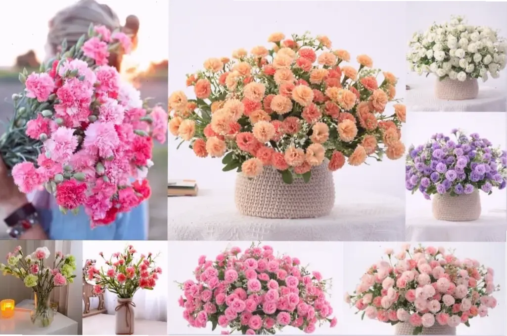 Trang trí không gian sống với hoa cẩm chướng cắm bình, mang hương sắc tươi mới và ấm áp.