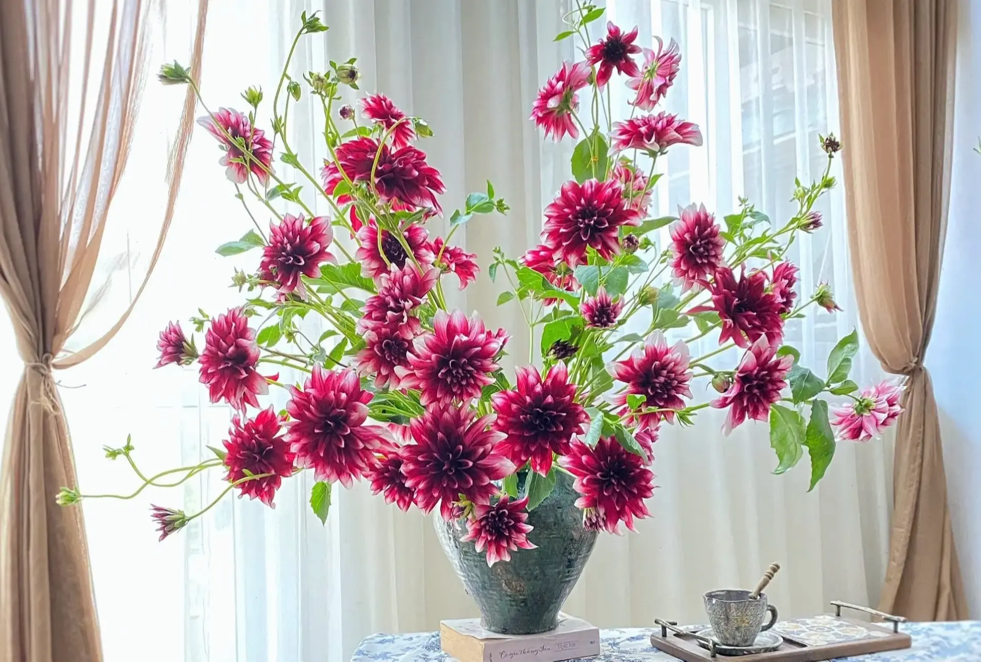 Trang trí ngôi nhà bằng bình hoa thược dược, mang hương sắc thiên nhiên tươi mới vào cuộc sống hàng ngày.