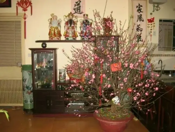 Trang trí nhà bằng hoa đào, tạo nên không gian Tết ấm cúng và đầy màu sắc rực rỡ.