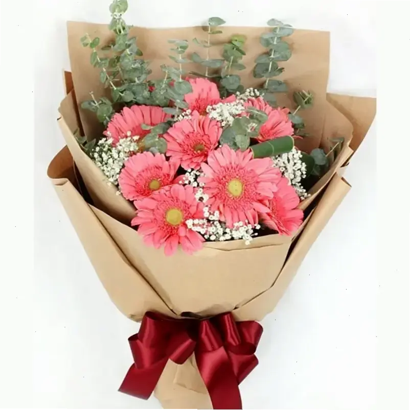 Trang trí nhà cửa với bó hoa đồng tiền xinh xắn, mang không khí ấm cúng và rạng rỡ.