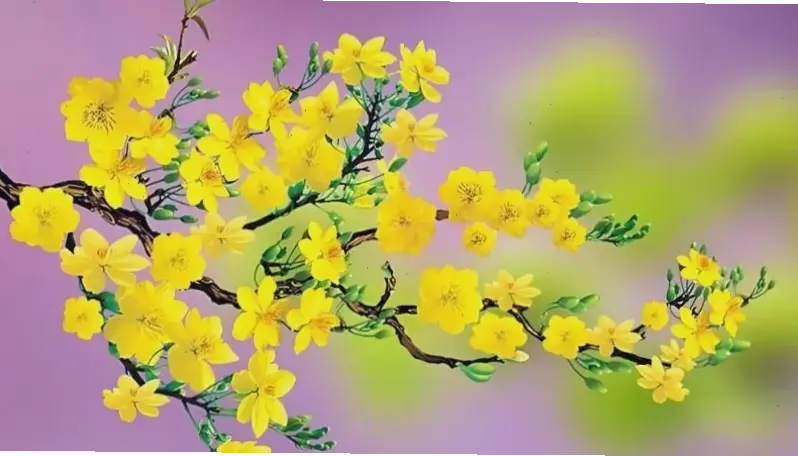 Trang trí nhà với hoa mai, biến không gian thành khu vườn xuân rực rỡ và ấm áp.