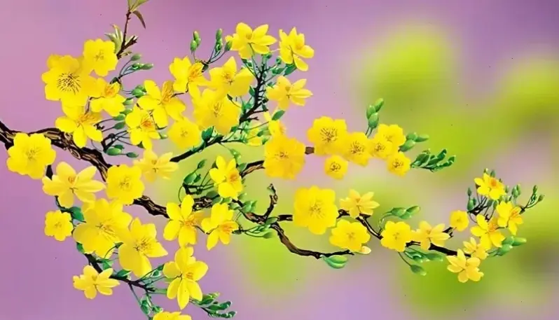 Trang trí nhà với hoa mai, mang không khí Tết ấm cúng và thịnh vượng đến gia đình.