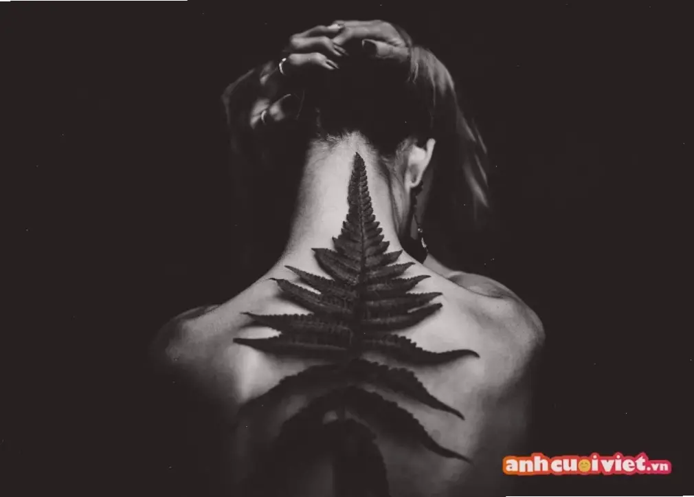 Khám phá avatar ánh đèn độc lạ, mang đến ánh sáng độc đáo và phong cách nổi bật cho profile của bạn!