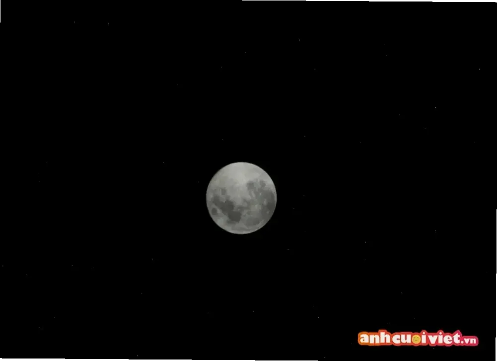 Avatar ánh đèn huyền bí: Khám phá sức hút huyền ảo, biến profile bạn thành thế giới bí ẩn đầy ma lực!