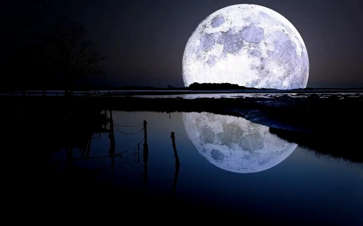 Khám phá avatar ánh trăng độc lạ, mang vẻ đẹp huyền bí và sáng tạo, biến đêm tối thành nguồn cảm hứng bất tận!