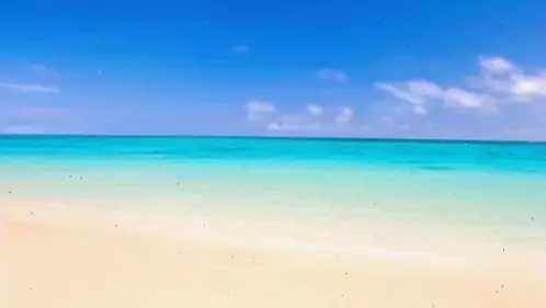 Avatar biển đẹp mang đến cảm giác thư giãn, yên bình và vẻ quyến rũ của đại dương, giúp bạn làm mới profile ngay hôm nay!