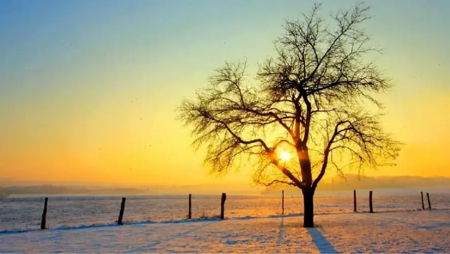 Avatar bình minh mang đến hành trình kỳ diệu, nơi ánh sáng mới đánh thức hy vọng và vẻ đẹp huyền ảo của Pandora.