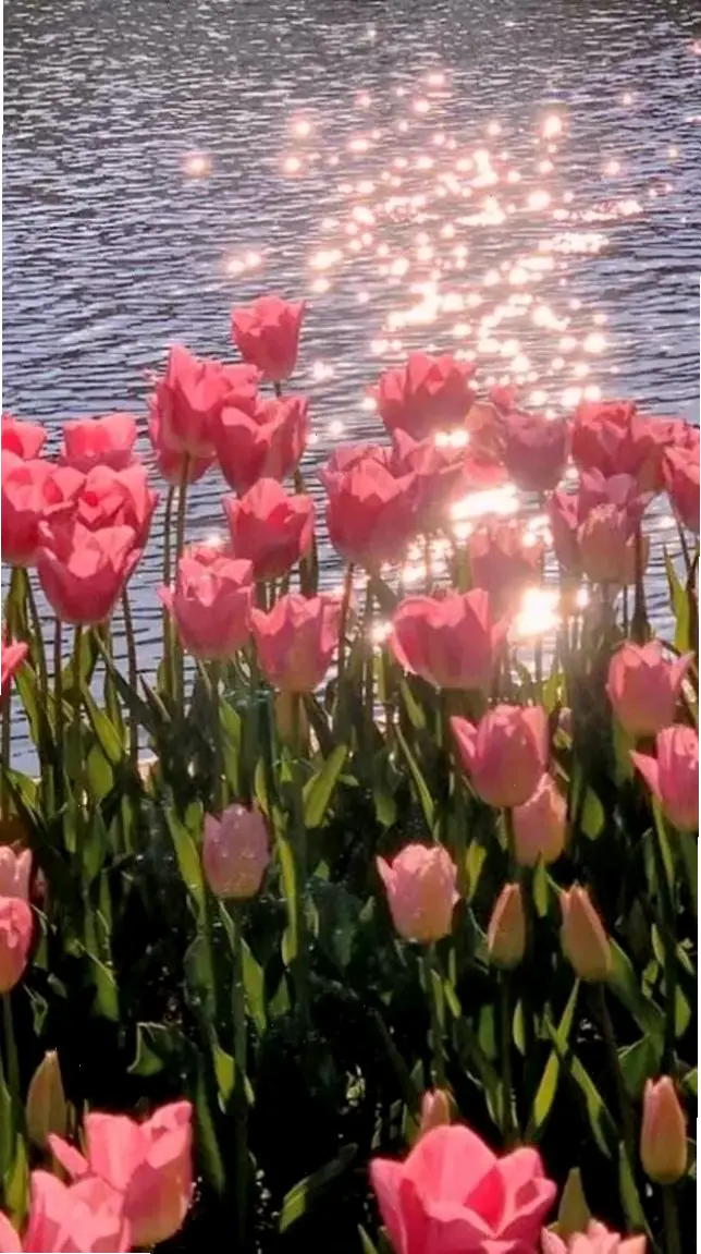 Khám phá avatar hoa văn sáng tạo độc đáo, mang đến phong cách cá nhân ấn tượng và tươi mới cho bạn ngay hôm nay!