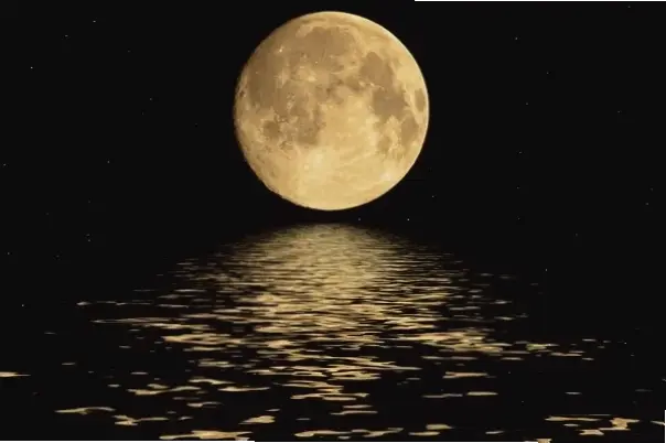 Khám phá avatar mặt trăng anime huyền bí, mang đến sức hút kỳ diệu và phong cách độc đáo cho hồ sơ của bạn!