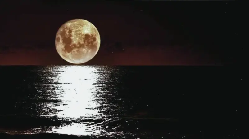 Khám phá avatar mặt trăng huyền bí, mang đến sức hút kỳ diệu và bí ẩn cho profile, biến bạn thành biểu tượng đêm huyền ảo!