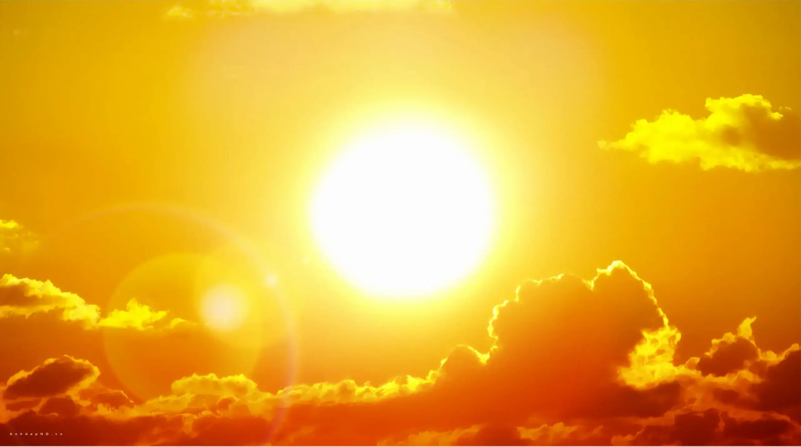 Avatar mặt trời sáng tạo: Nguồn năng lượng tích cực, làm mới profile bạn với thiết kế độc đáo và rực rỡ!