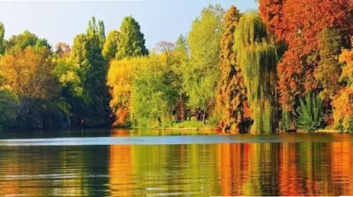 Khám phá Avatar mùa thu với vẻ đẹp huyền ảo của lá vàng rực rỡ và không khí se lạnh đầy mê hoặc.