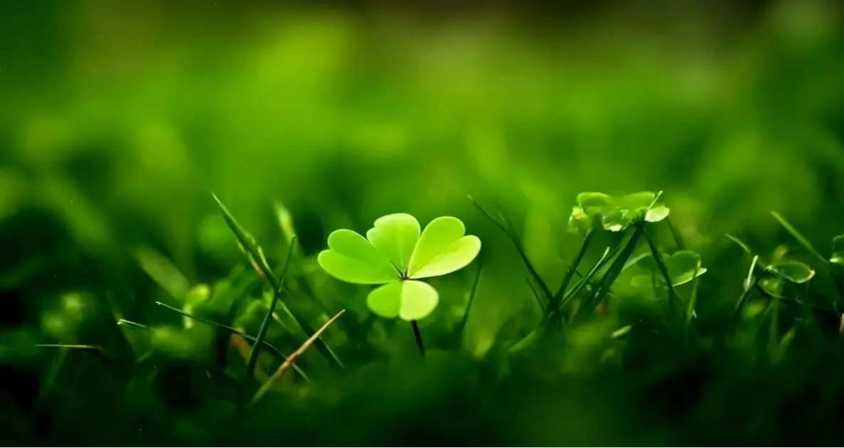 Avatar thủy tinh lung linh: Khám phá vẻ đẹp huyền ảo, tỏa sáng rực rỡ và biến profile bạn thành tuyệt tác cá nhân hóa!