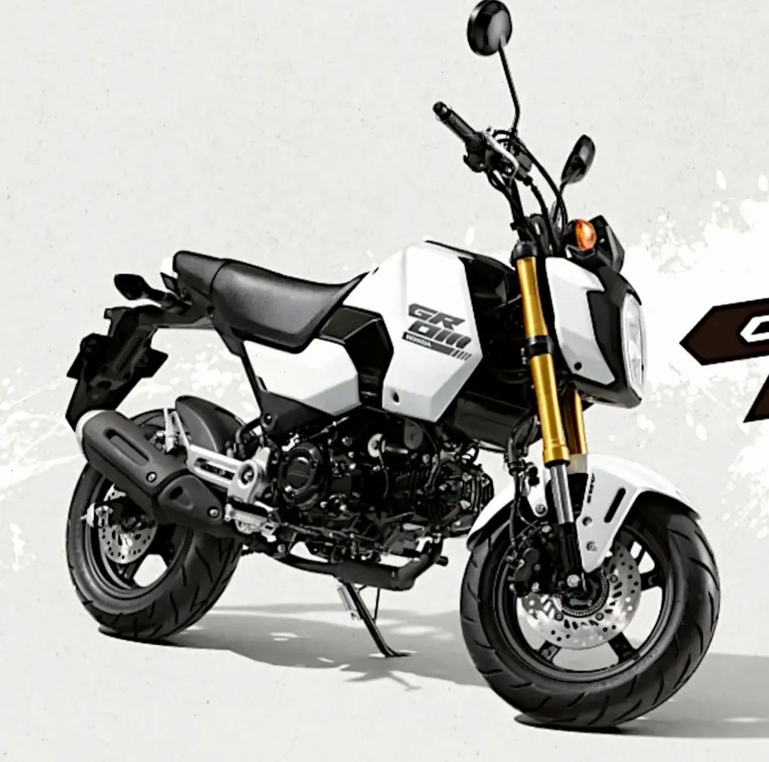 Honda MSX125 Eco Motorcycle: Tiết kiệm nhiên liệu, thân thiện môi trường, vẫn đầy phong cách và năng động!