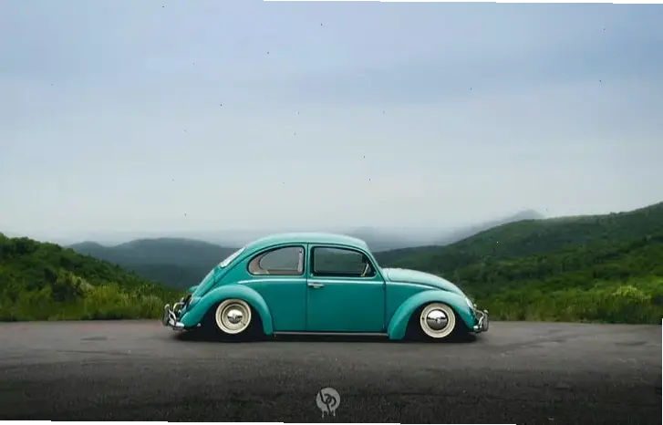Volkswagen Beetle Eco Car là lựa chọn thân thiện môi trường, tiết kiệm năng lượng và hiệu quả cao.