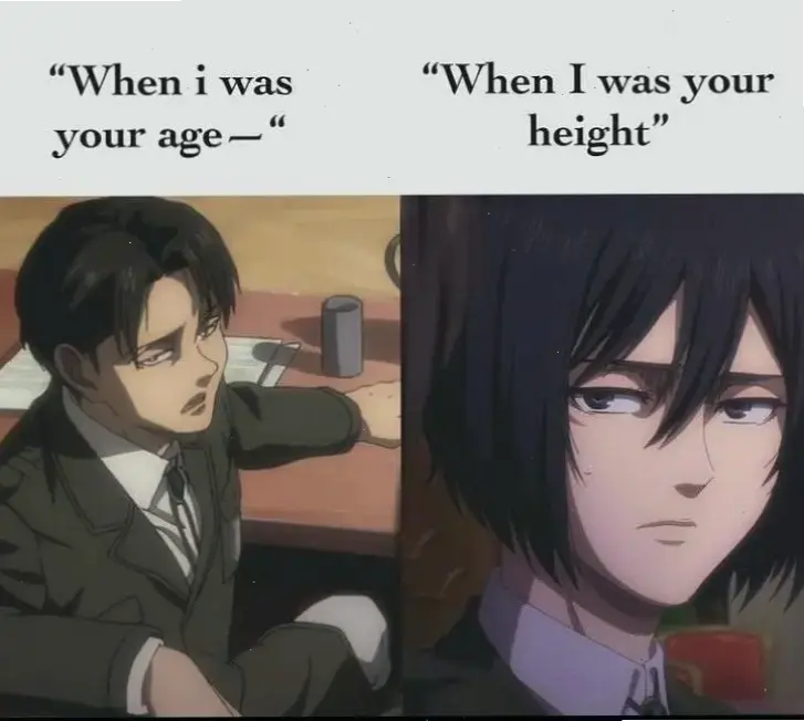 Levi Ackerman age: Tuổi tác của Levi qua các phần truyện, từ thanh niên đến chiến binh lão luyện.