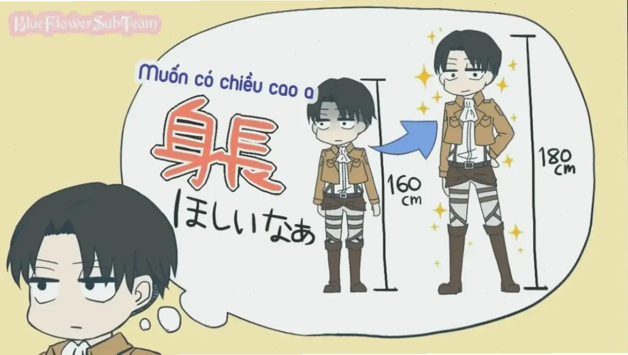 Levi Ackerman cao bao nhiêu? Dù chiều cao khiêm tốn, sức mạnh của anh vẫn vượt trội, khiến fan ngưỡng mộ.