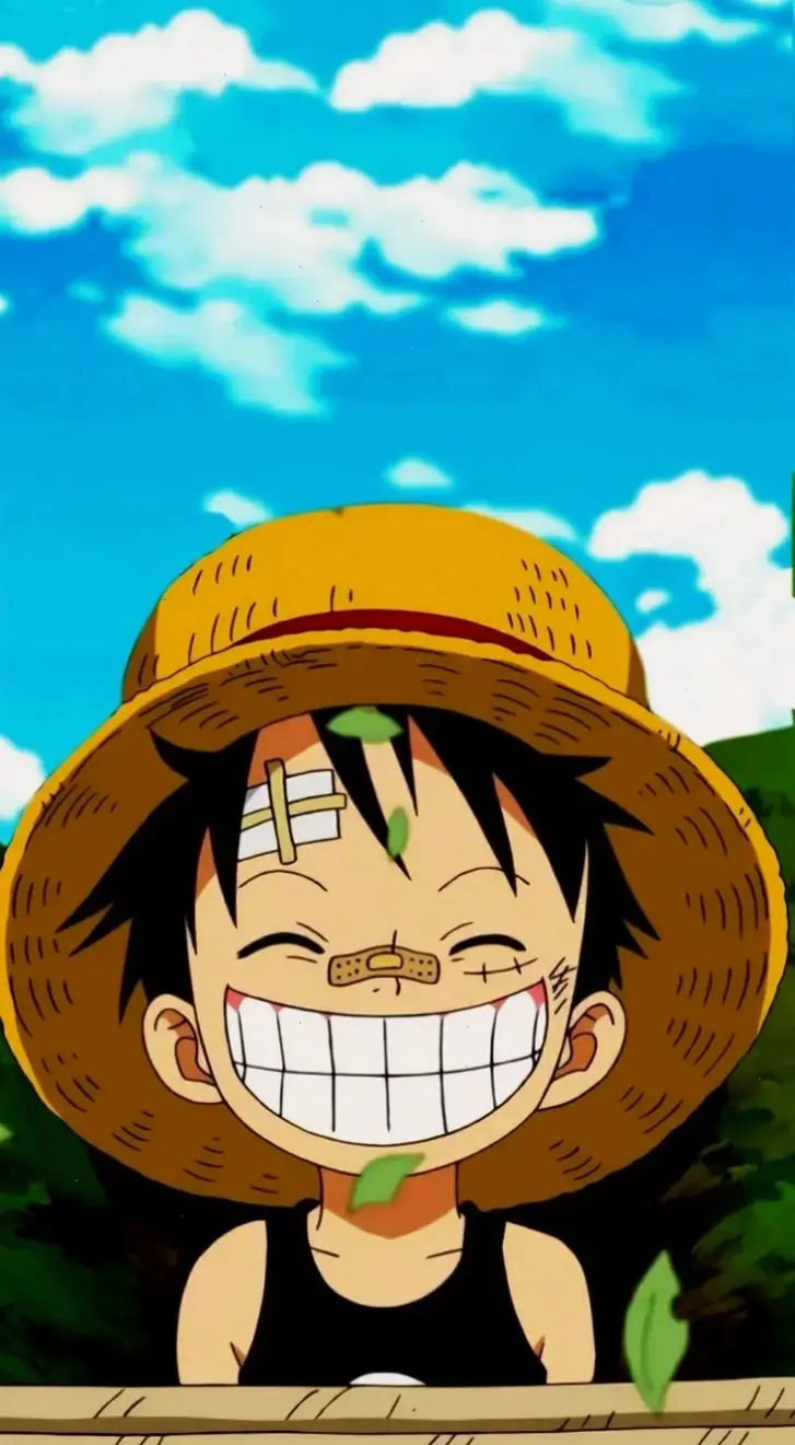 Mũ rơm Luffy dẫn dắt băng hải tặc Mũ Rơm chinh phục biển cả trong One Piece.
