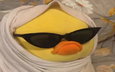 Hãy Khám Phá Avatar Con Vịt Vô Tri Độc Đáo Ngay!