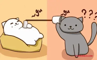 Avatar Đôi Mèo Cute: Độc đáo, hấp dẫn và thôi thúc nhấp chuột ngay!