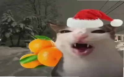 Khám Phá Avatar Giáng Sinh Hài Hước! Độc Lạ Và Hấp Dẫn.