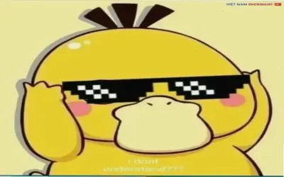 Khám Phá Avatar Hoạt Hình Vịt Vàng Độc Đáo Ngay!