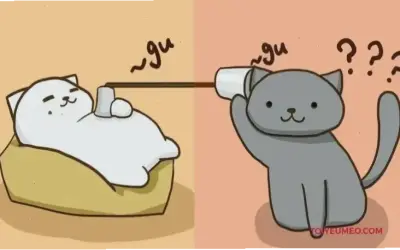 Khám phá ngay Avatar Mèo Cặp Bạn Thân độc nhất và hấp dẫn!