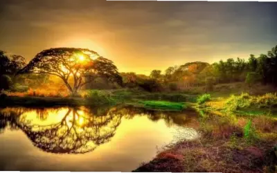 Khám Phá Avatar Thiên Nhiên Đẹp, Độc Đáo Và Hấp Dẫn Ngay!