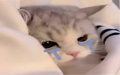 Hấp dẫn với Avatar Vô Tri Mèo Meme, biểu tượng hài hước độc đáo thôi thúc bạn khám phá ngay!