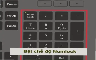 Tại sao bàn phím laptop không gõ số? Khắc phục ngay!