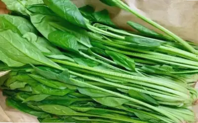 Ăn gì để giảm đau đầu? Top thực phẩm hiệu quả!