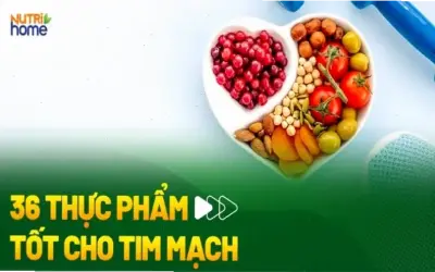 Top 10 Thực Phẩm Tốt Nhất Cho Hệ Tim Mạch Trẻ Em!