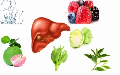 Top Thực Phẩm Tốt Nhất Cho Sức Khỏe Gan Phụ Nữ – Khám Phá Ngay!