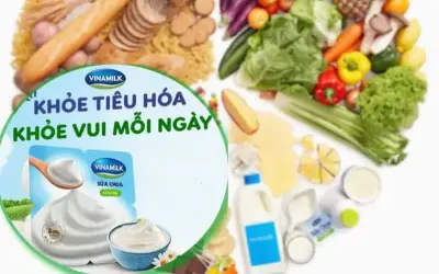 Top Thực Phẩm Tốt Cho Hệ Tiêu Hóa Phụ Nữ Sau 40