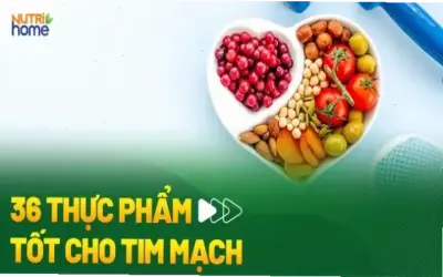 Top 10 Thực Phẩm Siêu Tốt Cho Sức Khỏe Tim Mạch!