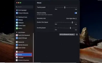 Hướng dẫn chỉnh tốc độ chuột laptop cho người mới bắt đầu