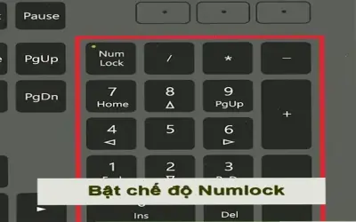 Tại sao bàn phím máy tính không gõ được số? Khắc phục ngay!