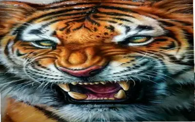 Khám Phá Hình Ảnh Con Hổ Ngầu, Độc Nhất Và Hấp Dẫn!