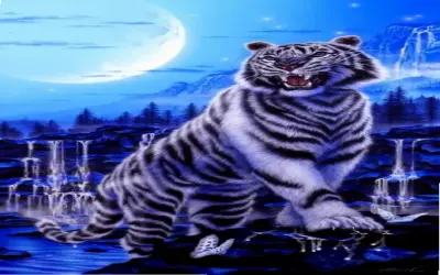 Xem Ngay Hình Ảnh Con Hổ Trắng Ngầu, Độc Nhất Và Hấp Dẫn!