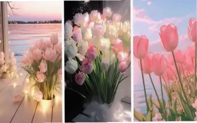 Hướng Dẫn Cắm Hoa Cúc Vào Bình Để Trang Trí Nhà Cửa Đẹp Lung Linh