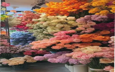 Hoa Đào Bó Hoa: Bí Quyết Làm Mới Không Gian Sống Cho Phụ Nữ Hiện Đại