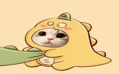 Nhấp để xem Hình avatar mèo con hoạt hình dễ thương, độc nhất!