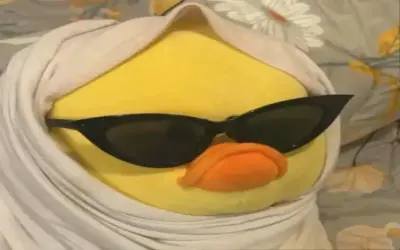 Khám phá Vịt Vô Tri Cute – avatar dễ thương độc nhất!