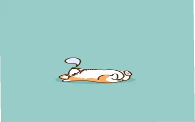 Khám Phá Hình Nền Chó Corgi Cute Độc Nhất Và Hấp Dẫn Ngay!