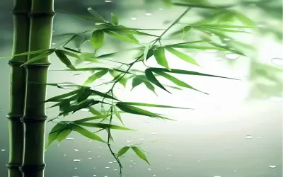 Hình Nền May Mắn Cho Điện Thoại: Độc Lạ, Hấp Dẫn Và Thôi Thúc!