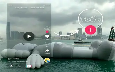 Khám phá Hình nền TikTok trong suốt độc đáo, nâng tầm video bạn!