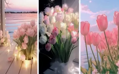 Hoa Tulip Cưới: Bí Quyết Để Lễ Cưới Trở Nên Hoàn Hảo Và Ấn Tượng