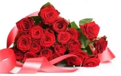 Khám Phá Những Loại Hoa Hồng Đẹp Và Ý Nghĩa Cho Ngày 20/10