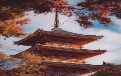 Những Hình Ảnh Chùa Phật Giáo Ấn Tượng Giúp Doanh Nhân Tìm Lại Cân Bằng