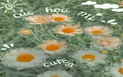 Hình Nền Hoa Cúc Họa Mi: Bí Quyết Làm Nổi Bật Màn Hình Của Bạn